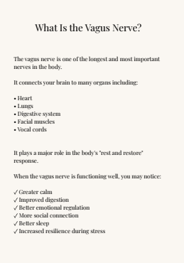 The Vagus nerve reset: 14 Days to Regulate Your Nervous System