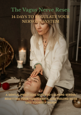 The Vagus nerve reset: 14 Days to Regulate Your Nervous System